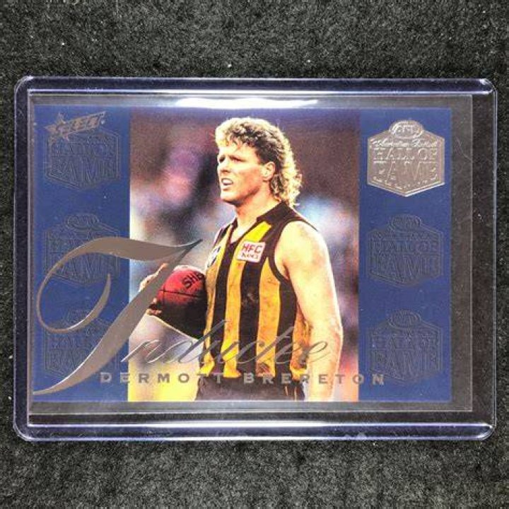 Dermott Brereton: The Life and Legacy of a Football Icon