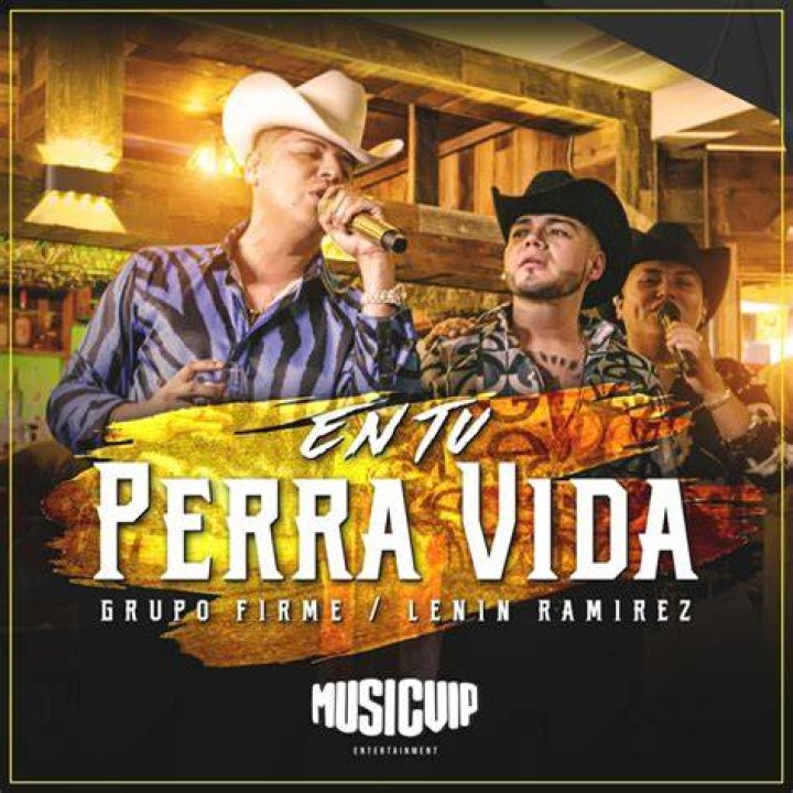 Unveiling the Meaning Behind "En Tu Perra Vida" by Grupo Firme: Lyrics Translation and More